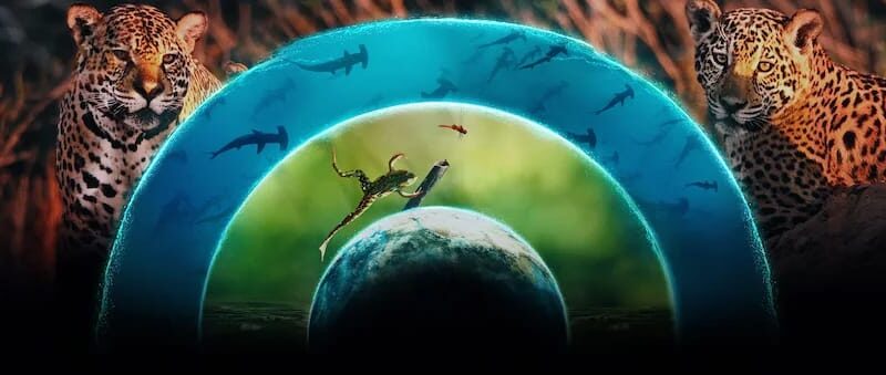 「Our Living World: 生きている地球」Netflixのドキュメンタリーシリーズ：エコロジカルバランスを通じた地球へのトリビュート