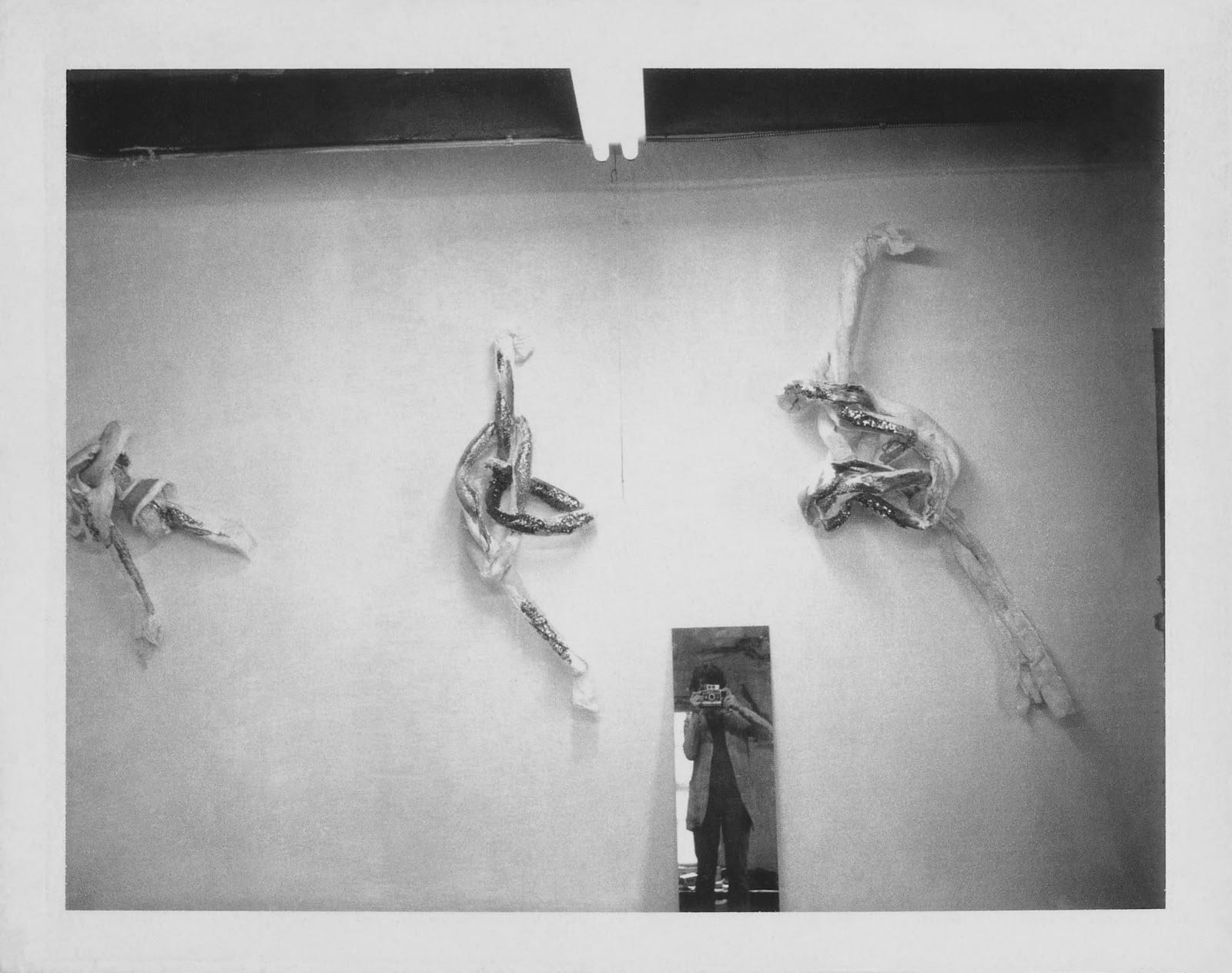 Thomas Dane Gallery to Showcase Groundbreaking Works by Lynda Benglis in May 2024