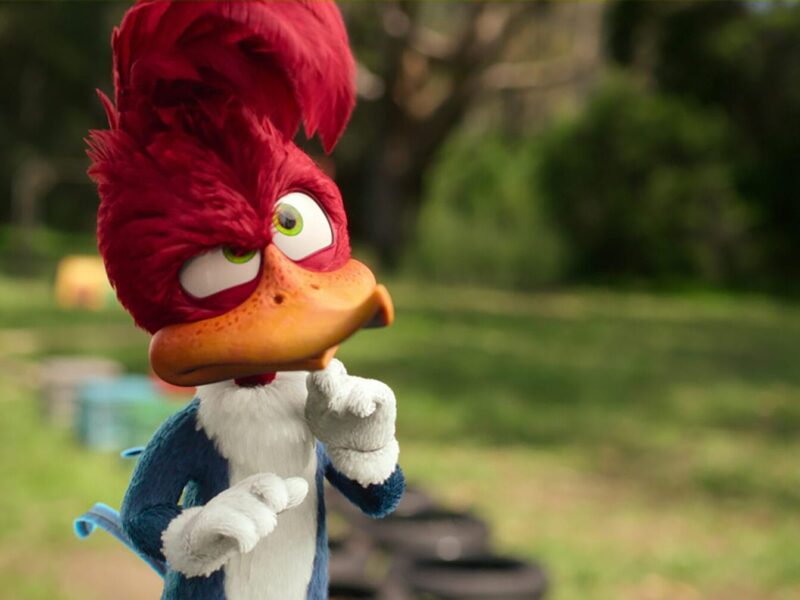 ‘우디 우드페커 캠프에 가다’ (2024) 넷플릭스 영화: 우디의 예상치 못한 귀환