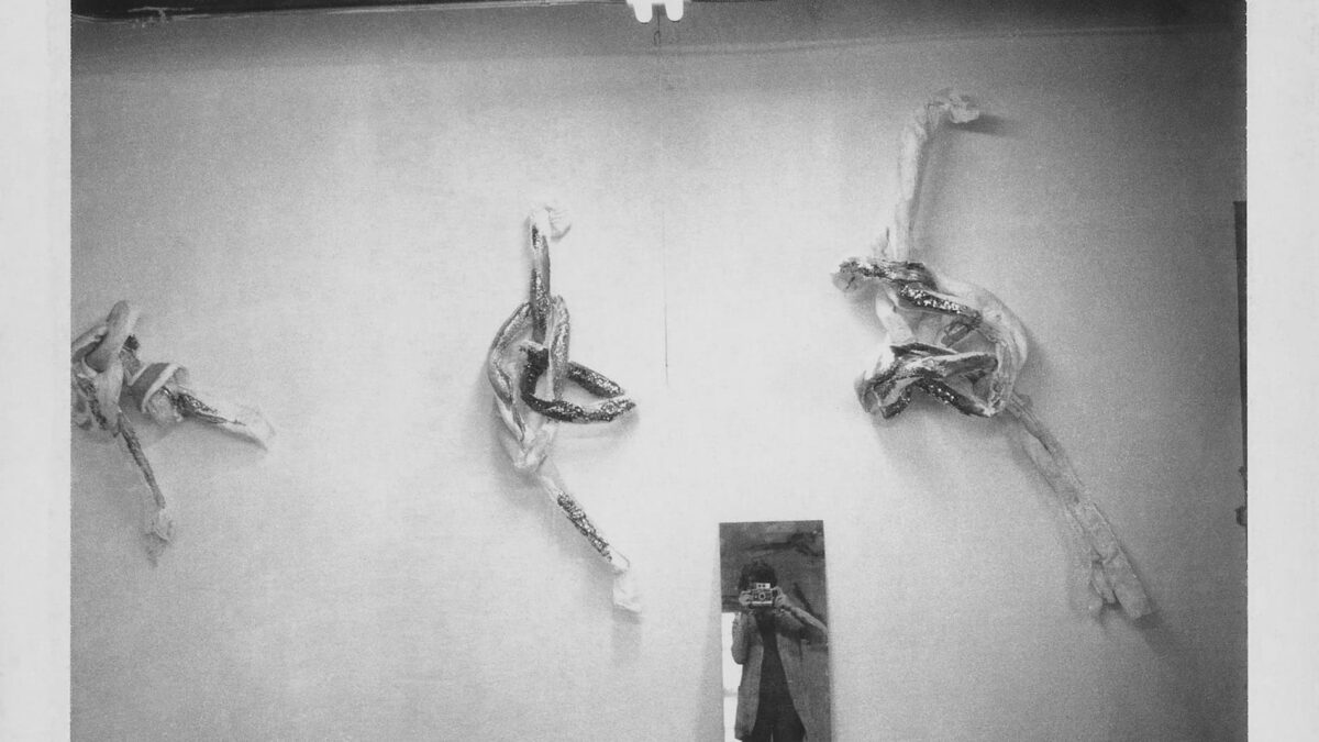 Lynda Benglis à la galerie Thomas Dane à Londres : Knots & ; Vidéocassettes 1972-1976