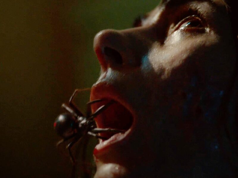 “Sting Araña Asesina”: Una araña extraterrestre siembra el terror en Brooklyn