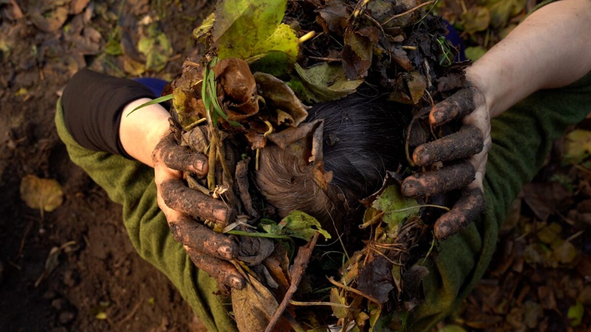 jill sigman/thinkdance feiert 25-jähriges Jubiläum mit Weltpremiere von „Re-Seeding“