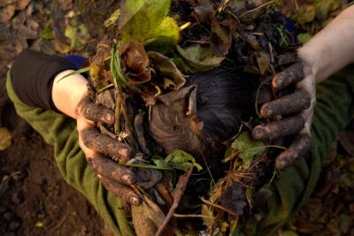 La Compañía jill sigman/thinkdance Celebra 25 Años con el Estreno Mundial de «Re-Seeding» en Gibney