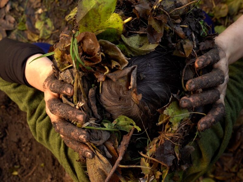 La Compañía jill sigman/thinkdance Celebra 25 Años con el Estreno Mundial de «Re-Seeding» en Gibney