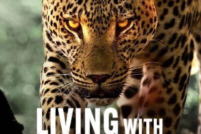 Netflix to Premiere Riveting Documentary “Living with Leopards” on May 10, 2024