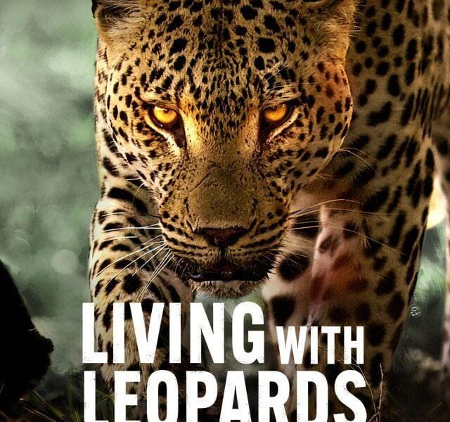 Netflix to Premiere Riveting Documentary “Living with Leopards” on May 10, 2024
