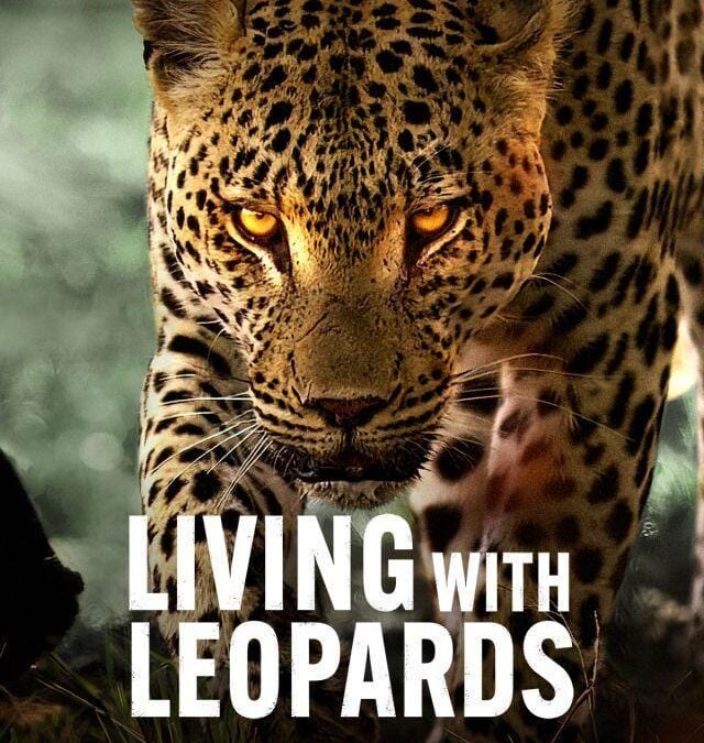 Netflix to Premiere Riveting Documentary “Living with Leopards” on May 10, 2024