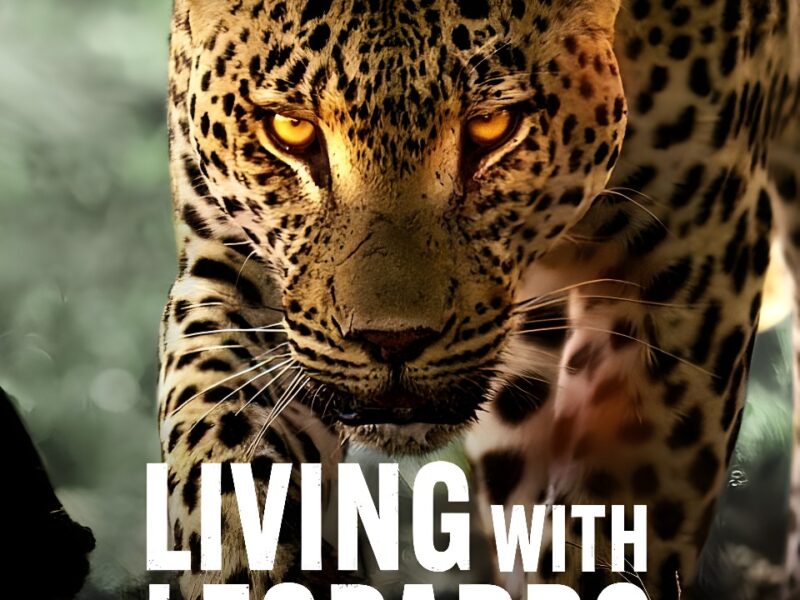 Netflix to Premiere Riveting Documentary “Living with Leopards” on May 10, 2024