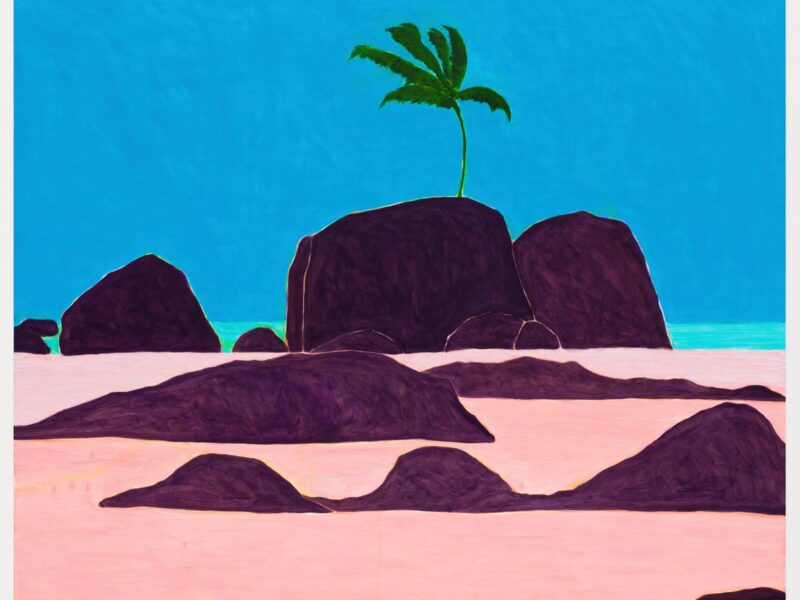 패트리샤 라이트의 전설의 풍경: 본질적인 브라질의 모습을 그린 작품들