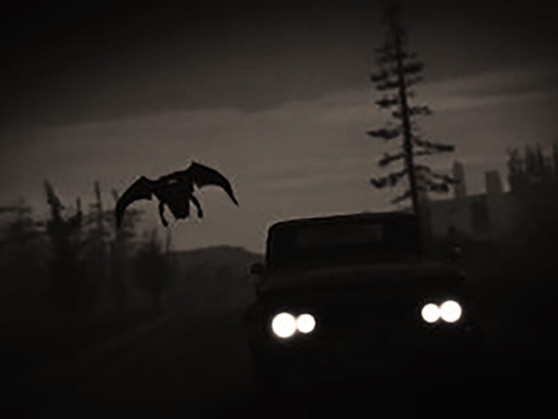 “풀리지 않은 미스터리” 에피소드 5: 넷플릭스 다큐멘터리 속 모스맨의 전설