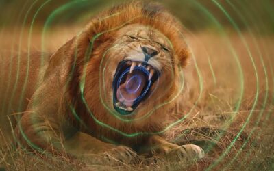 “Secret World of Sound with David Attenborough” Documentary on Netflix: Unveiling the Symphony of Animal Communication