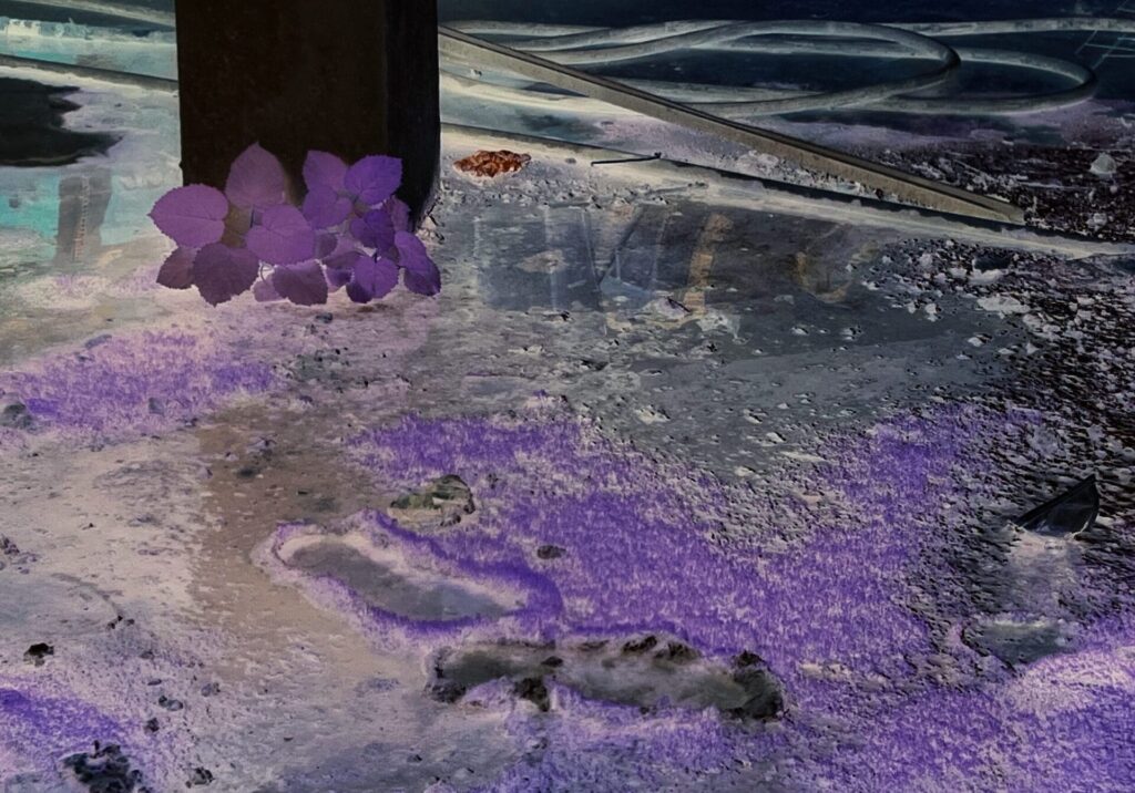 エウリディーチェ・ザイツナ・カラ、ギャルリー・アン・バローで初の個展を開催