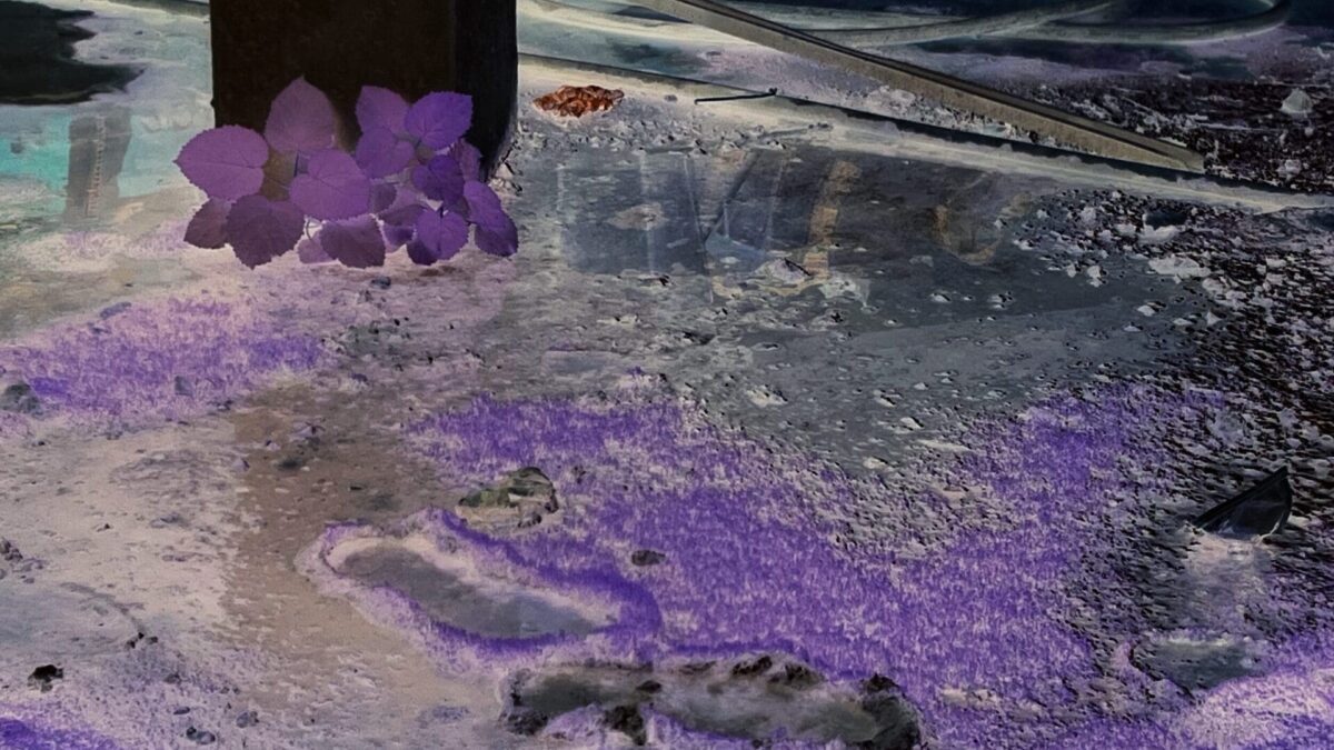 Expoziția lui Euridice Zaituna Kala la Galeria Anne Barrault