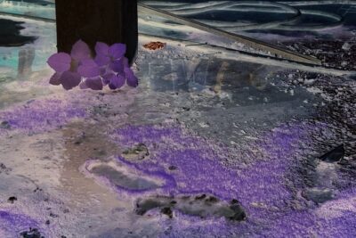 Euridice Zaituna Kala. Nuit Américaine, 2024