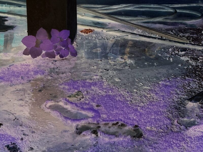 유로디체 자이투나 칼라: 두 개의 태양이 지는 것처럼: En quelques gestes. 전시 기간: 2024년 8월 31일부터 10월 5일까지