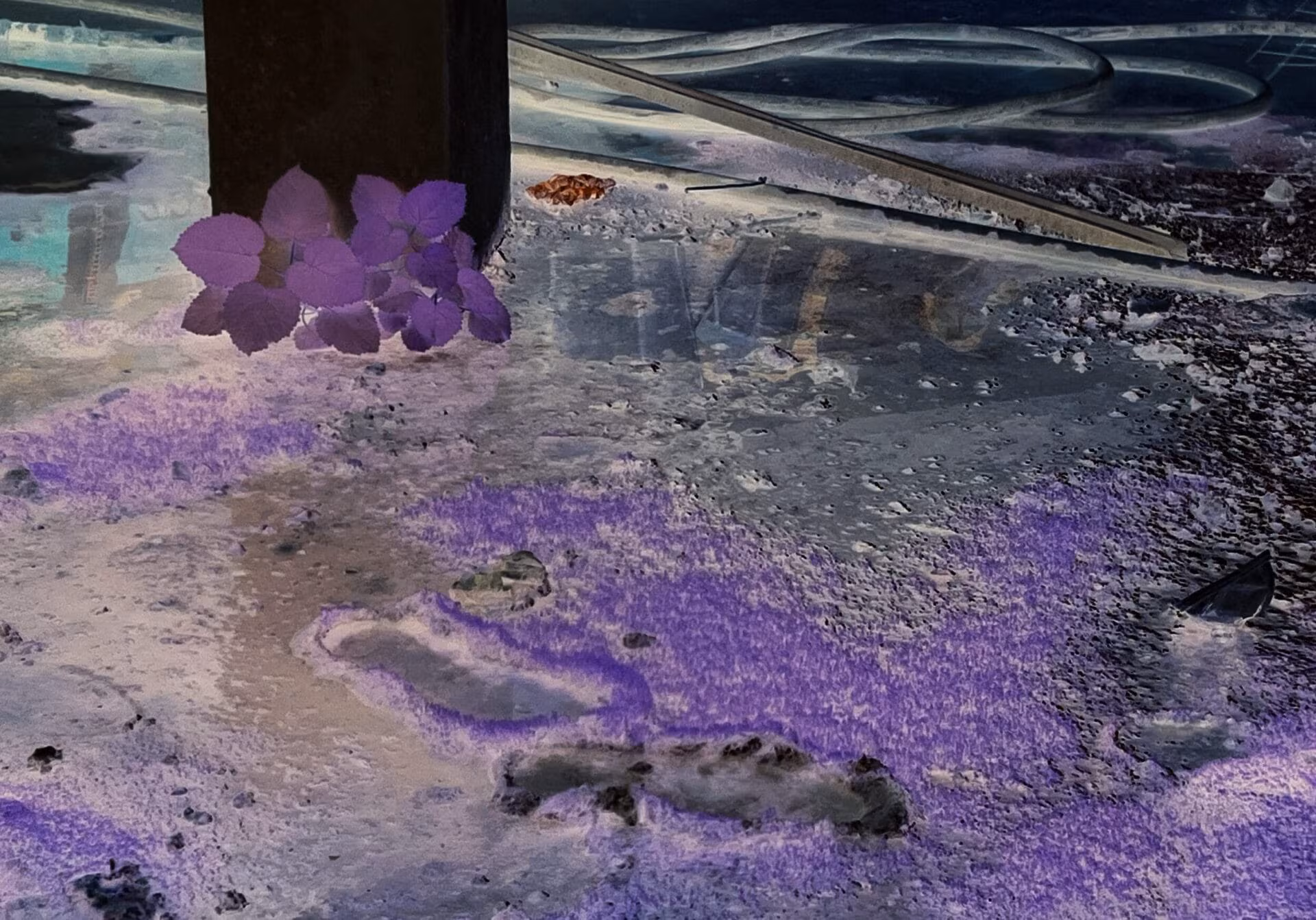 Euridice Zaituna Kala. Nuit Américaine, 2024