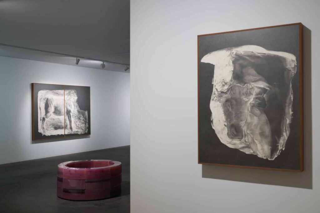 Tang Kwong San: Rootstock – A Delve into Diasporic Identity at Galerie du Monde (Hong Kong)