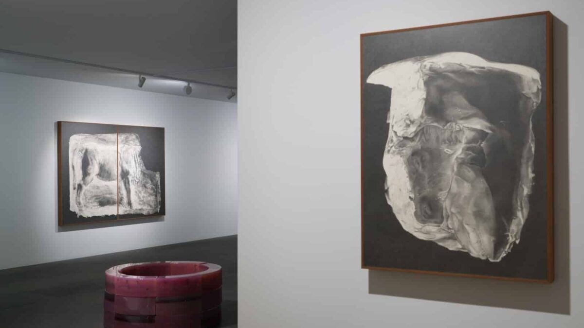 Tang Kwong San: Rootstock – Galerie du Monde (Hong Kong)