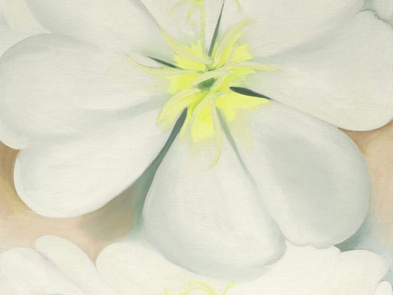 본햄스 20/21세기 아트 이브닝 세일에 희귀한 조지아 오키프 앵초 그림이 등장합니다