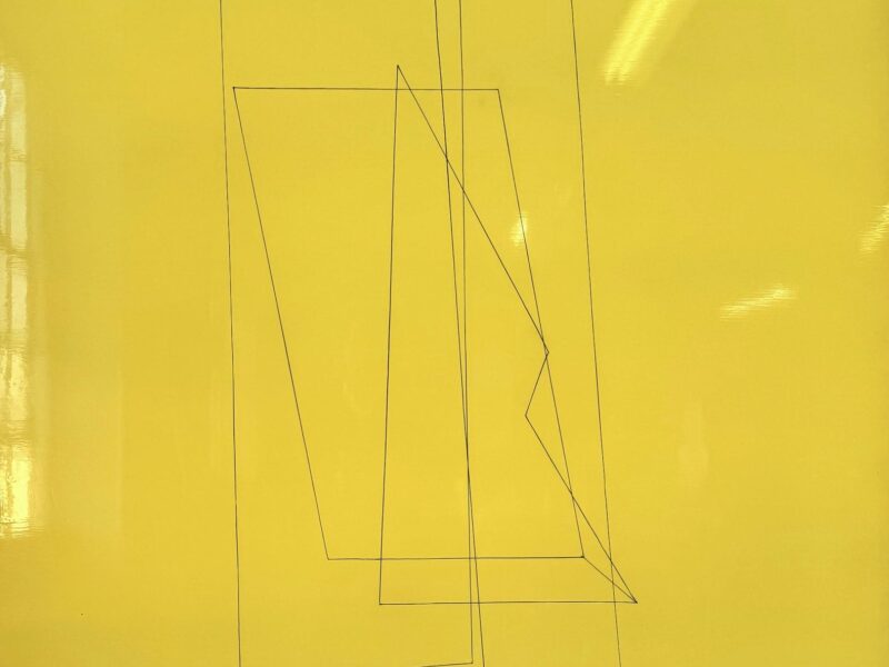 Kate Shepherd, 추상과 공간의 새로운 대화