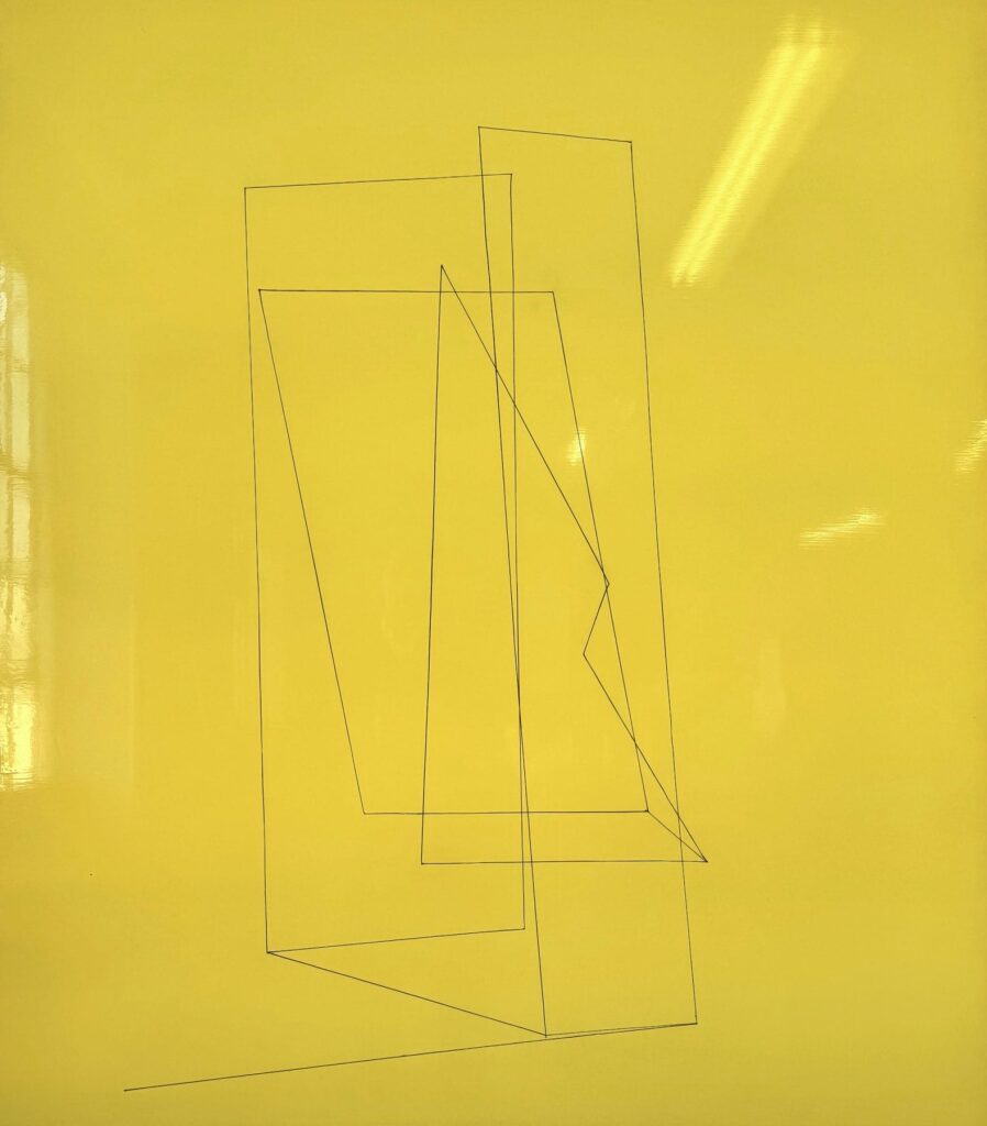 Kate Shepherd, 추상과 공간의 새로운 대화