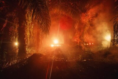 Julian Charrière在ARKEN当代艺术博物馆探索人类与自然的关系