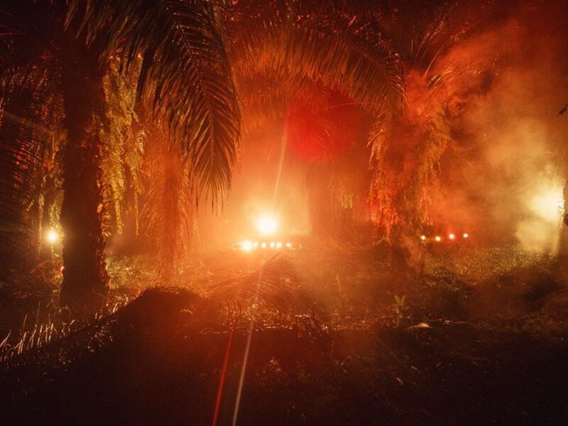 ARKEN 현대 미술관, 줄리안 샤리에르의 ‘Solarstalgia’ 전시 개최