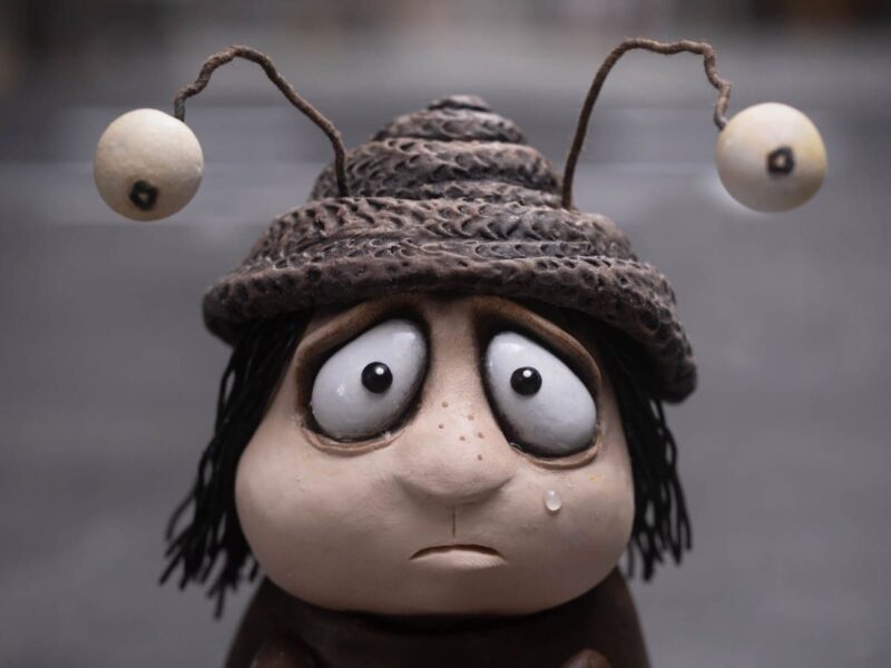 「Memoir of a Snail」 – 大人のための風変わりなアニメーション