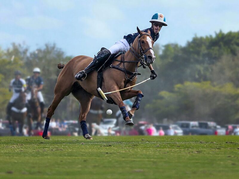 ネットフリックスが贈る、知られざる贅沢スポーツの世界：ポロドキュメンタリー「POLO/ポロ」