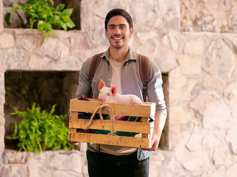 墨西哥最温馨可爱的家庭剧《男儿当保姆》重磅回归Netflix啦！