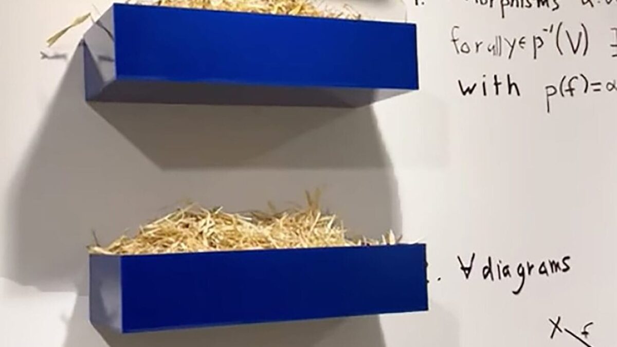 数学と芸術の融合：ネルソン・サイアーズ展