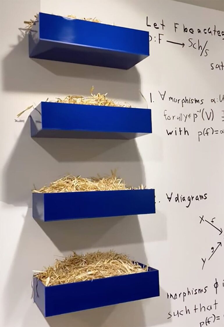 数学と芸術の融合：ネルソン・サイアーズ展