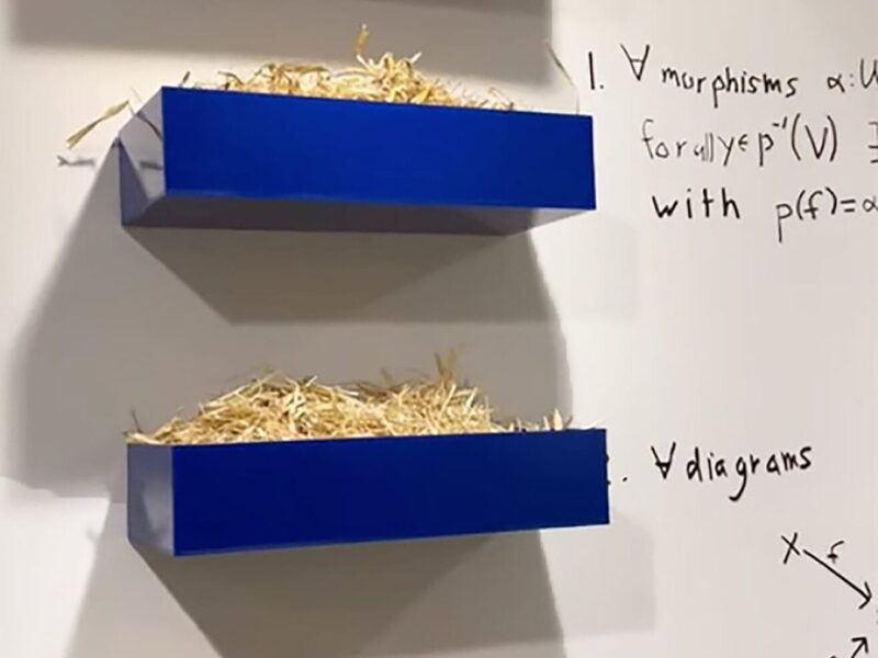 수학과 예술의 만남: 넬슨 세이어스 전시회 ‘The Canvas 3.0’