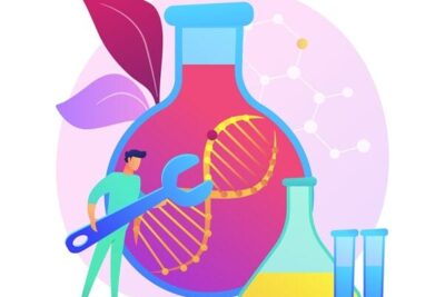 Avance en medicina regenerativa: ¿Pueden las células madre reemplazar órganos?