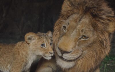 Crítica a «Mufasa: El rey león», la nueva película de animación de Disney: sólo por la animación, merece la pena