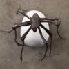 Louise Bourgeois. Spider 2000