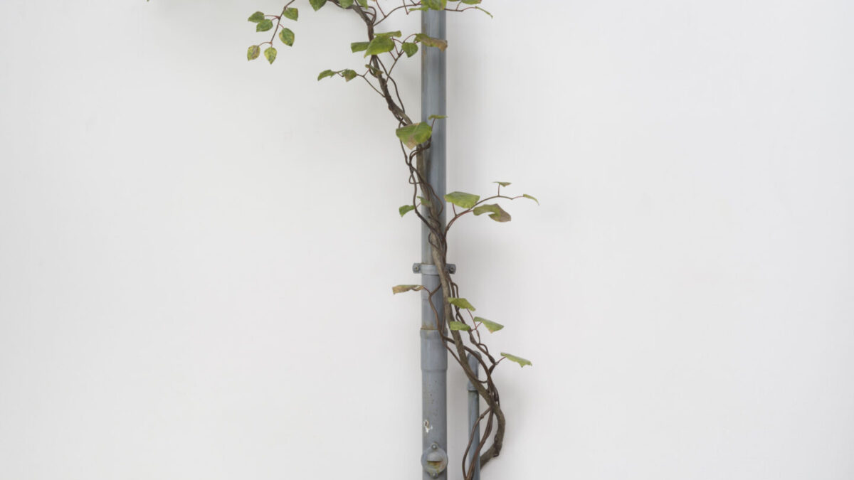 Álvaro Urbano: O Artista que Reimagina Realidades Possíveis no Prêmio Catalina D’Anglade