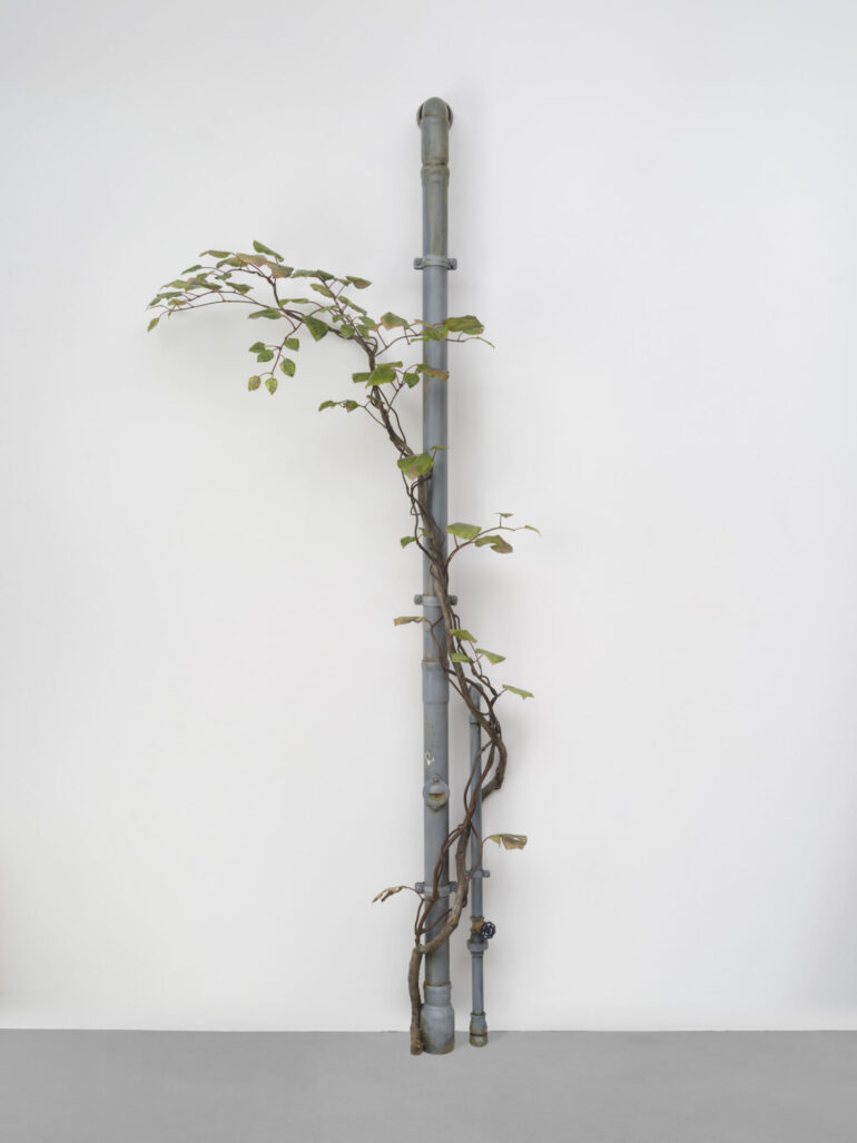 Álvaro Urbano: O Artista que Reimagina Realidades Possíveis no Prêmio Catalina D’Anglade