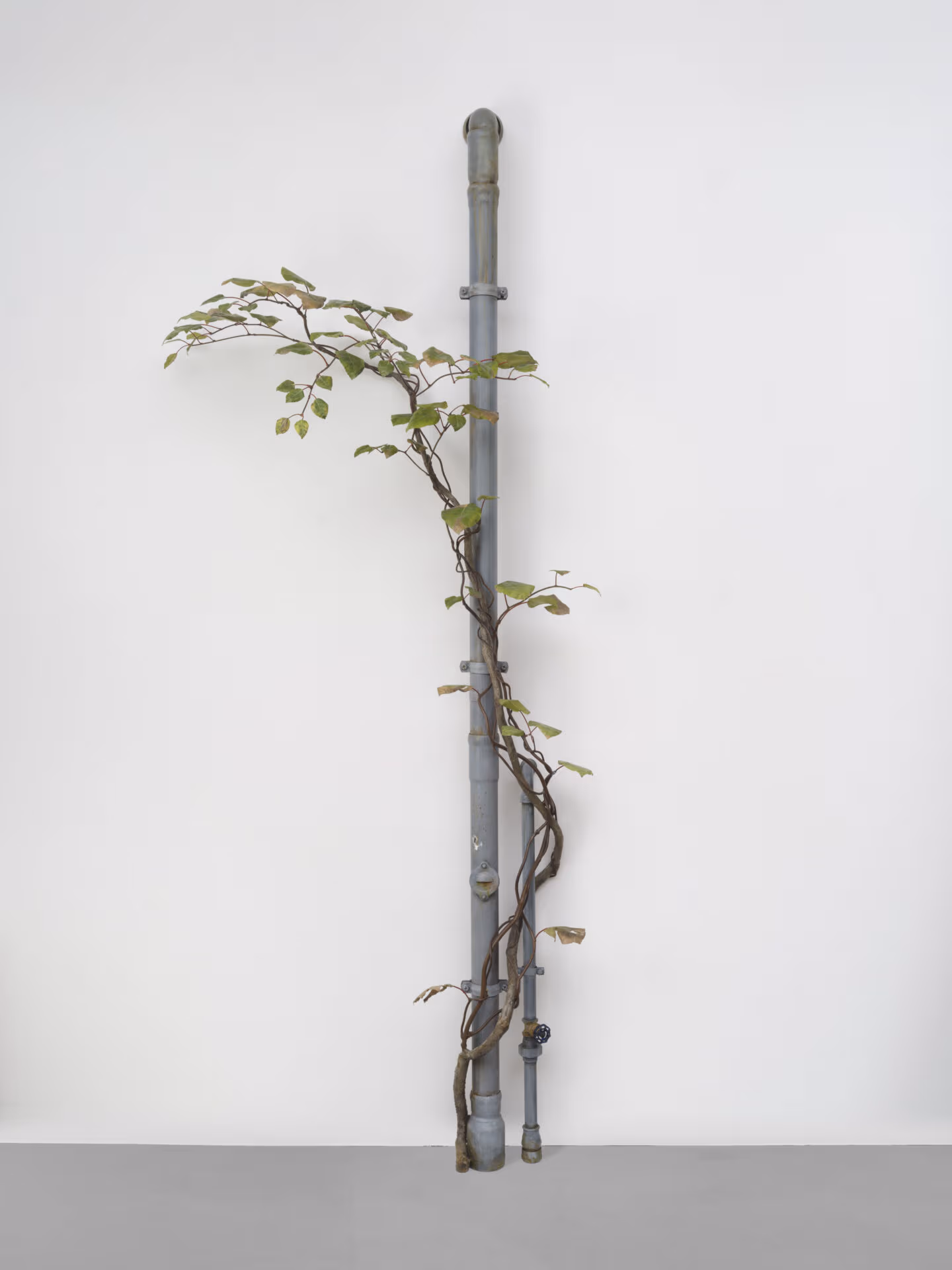 Álvaro Urbano. VEINS