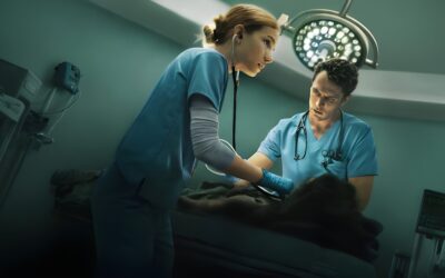 «Pulso»: el nuevo drama médico de Netflix que nos lleva a Florida en medio de un huracán