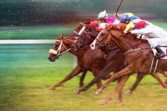 Race for the Crown - Netflix