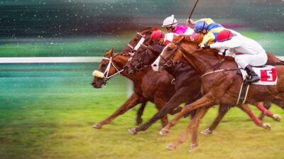 Race for the Crown - Netflix