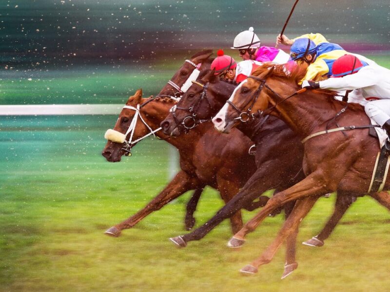 „Cursa pentru coroană” pe Netflix: curse de cai la viteză maximă