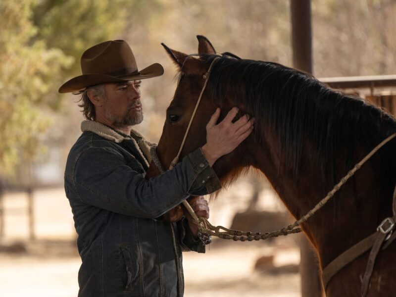 《兰森峡谷》在Netflix：浪漫、悬疑与戏剧交织的牧场故事