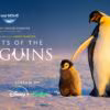 Secrets of the Penguins