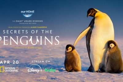 Secrets of the Penguins: James Cameron Yapımcılığında National Geographic’ten Yeni ve Çarpıcı Belgesel Serisi Geliyor