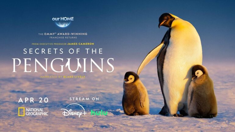 Segredos dos Pinguins: Chega a nova e reveladora docussérie da National Geographic com James Cameron como produtor executivo
