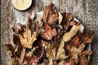 Restaurant Koks, Faroe Islands, Crispy celeriac with fermented celeriac powder and mushroom emulsion, Credit: Claes Bech Poulsen.