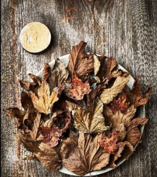 노르웨이 국립박물관, 뉴 노르딕 퀴진의 세계적 현상을 탐구하다