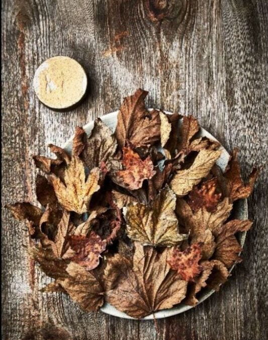 「新北欧料理」：食から世界的文化現象へ ノルウェー国立美術館で探る